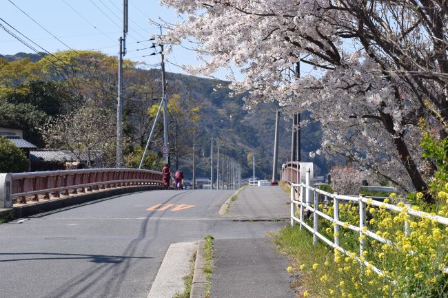 佐護平野_small650.jpg