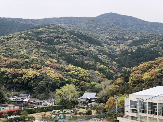 新緑