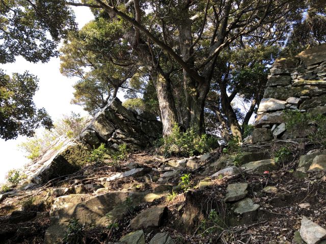 清水山城