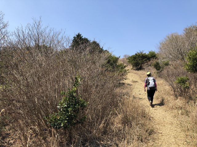 山頂手前
