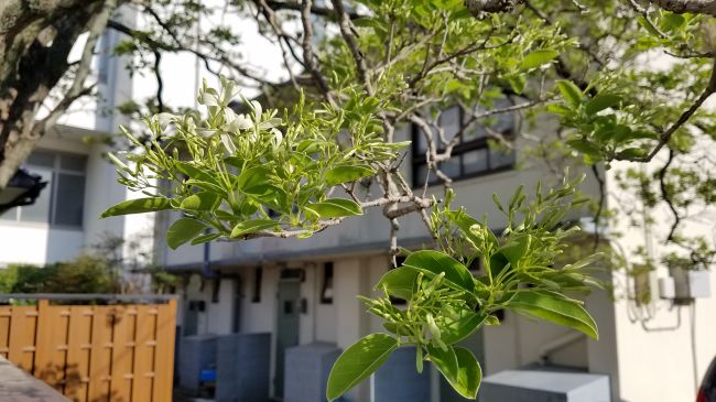 20190417_163954_650.jpg