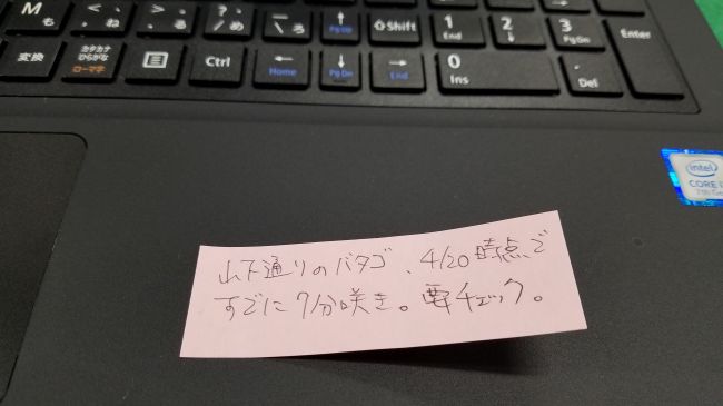 20190421_100641_650.jpg