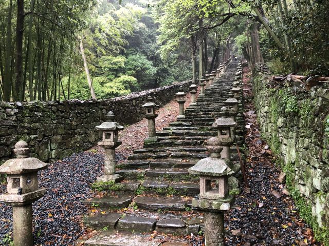 雨の万松院