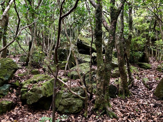松無山