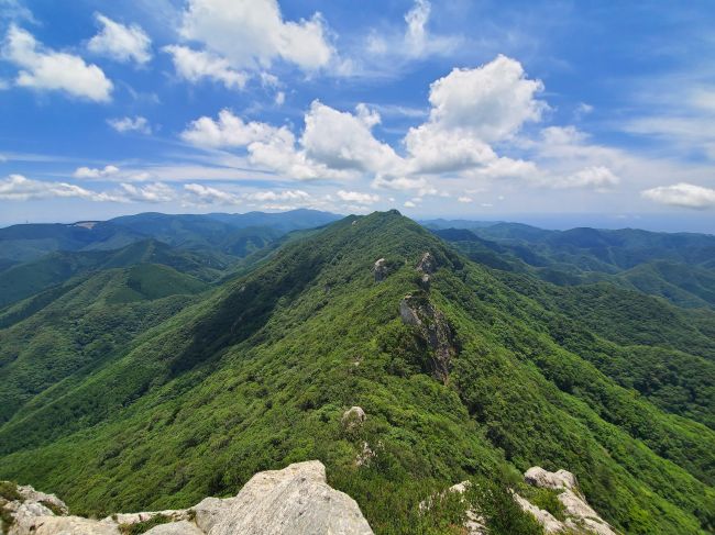 20190712_125937_650.jpg