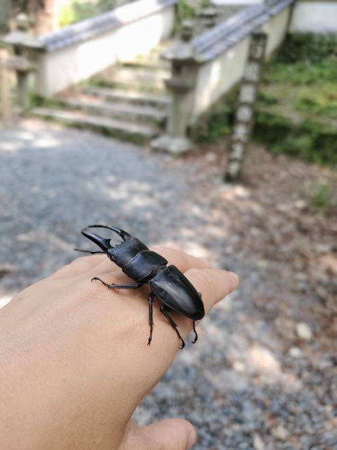 20190715_103249_650.jpg