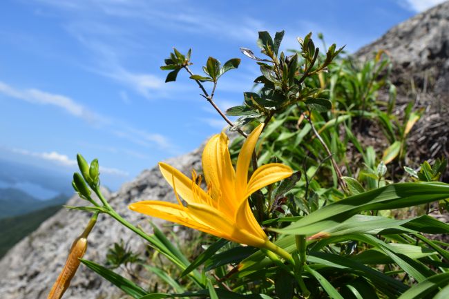 DSC_0880_650.jpg