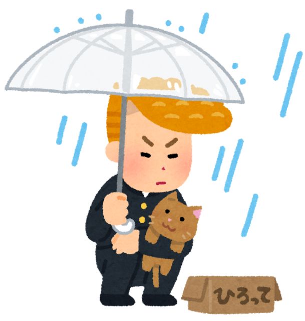 雨のなか猫を拾う不良