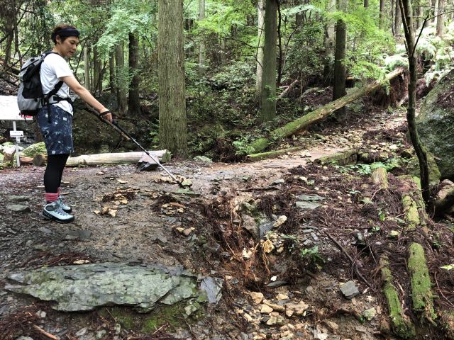 登山道の様子1