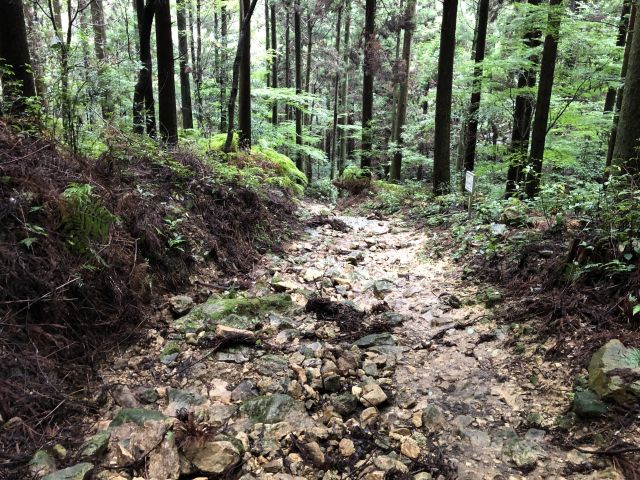 登山道の様子2