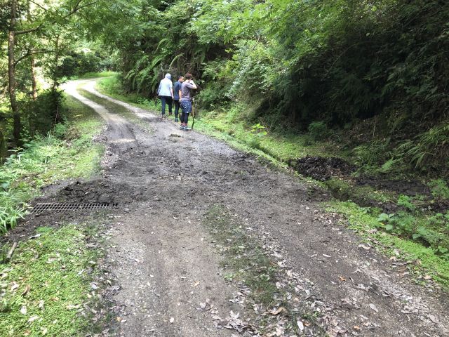 白嶽登山道の様子