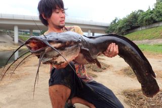 クラリアス