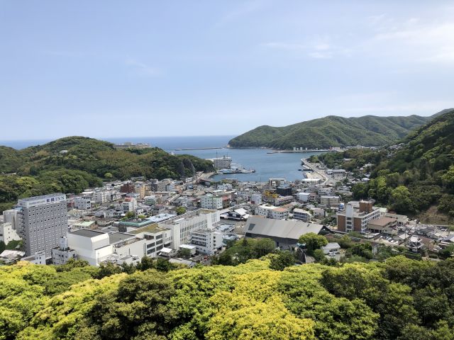 清水山の新緑