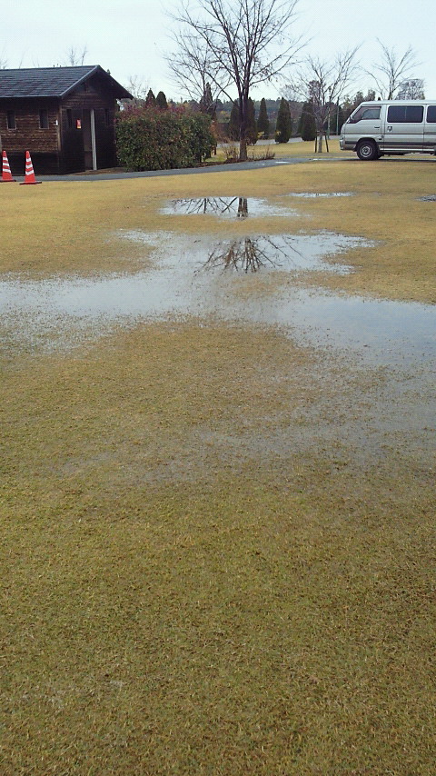 201112031343000.jpg