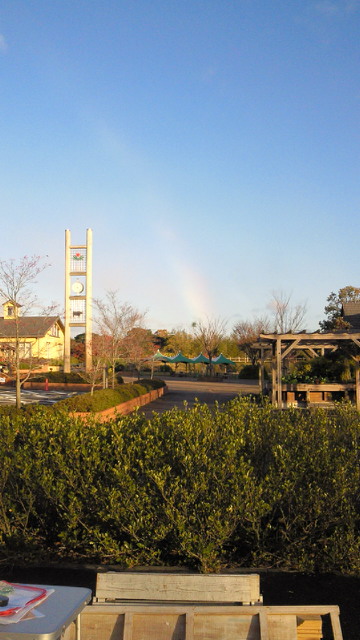 201112040724000.jpg