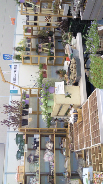 NEC_0123.jpg