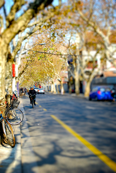 1302すDSC_0871-tiltshift.jpg