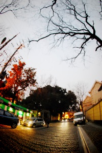 DSC_0415.jpg