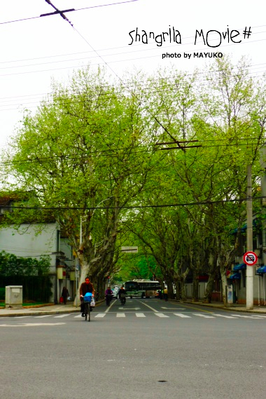 a7.jpg