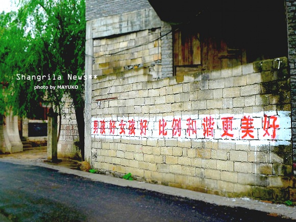 p5.jpg