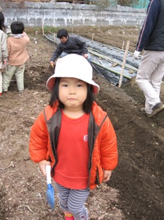 畑 ジャガイモ定植 ののか