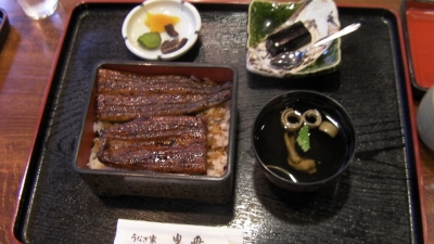 hamamatu3