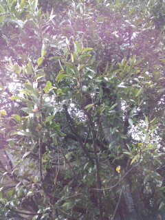 HI3H02340001.jpg