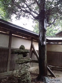 HI3H02370001.jpg