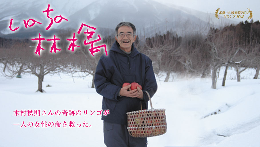林檎