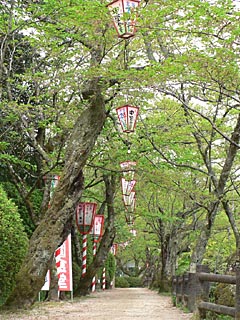 並木