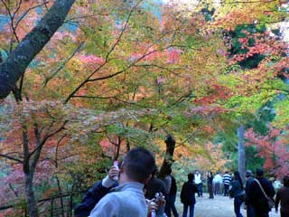 クリックしたら大きな画像が・・