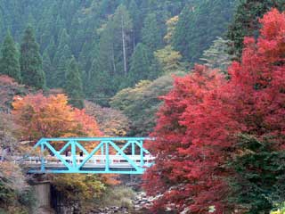 クリックしたら大きな画像が・・
