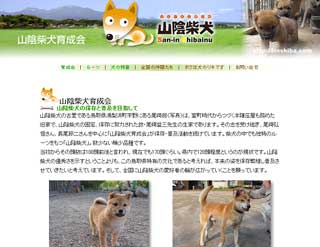 山陰柴犬・育成会のホームページへ