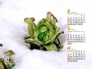 ビーワンの壁紙カレンダー「2月」