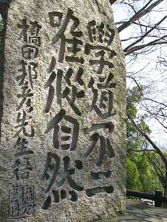 クリックして大きな画像を見る