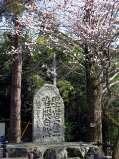 クリックして大きな画像を見る