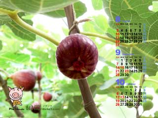 毎月更新♪カレンダー付き壁紙 ブログコミュニティ イラストブログ村