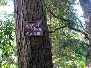 アウトドアブログ トラコミュ>自然に魅せられるブログ