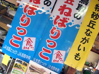 花ブログ トラコミュ>野菜、野菜づくり