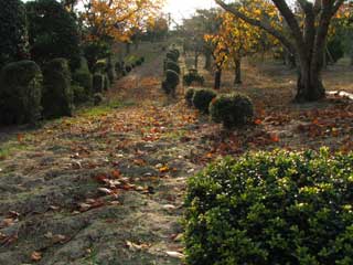 古代(いにしえ)の誘い ブログコミュニティ - 歴史ブログ村