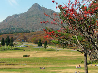 秋の紅葉、黄葉、褐葉 ブログコミュニティ - 写真ブログ村