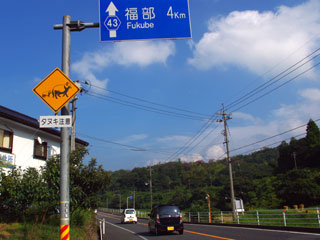 たぬき、タヌキ ブログコミュニティ - 小動物ブログ村