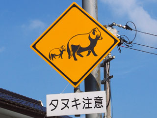 クリックして大きな画像を見る