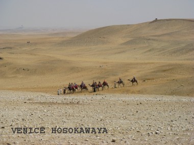 cameltour