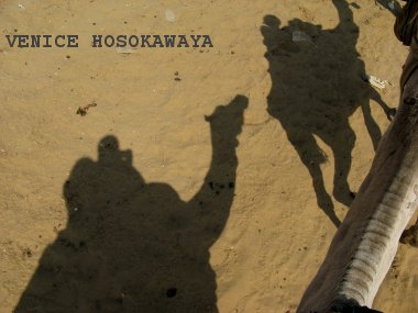 shadow of the camels