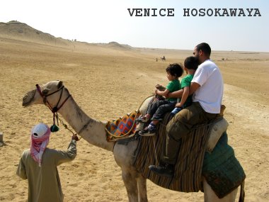 camel riding