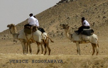 policemen on camels
