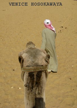 camels back
