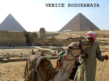 camel kissing the man