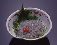 高知の郷土料理 ドロメ